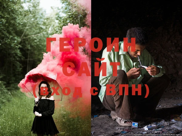 прущие грибы Михайлов