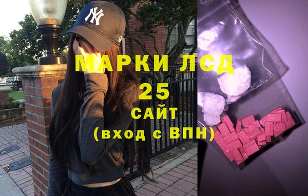прущие грибы Михайлов