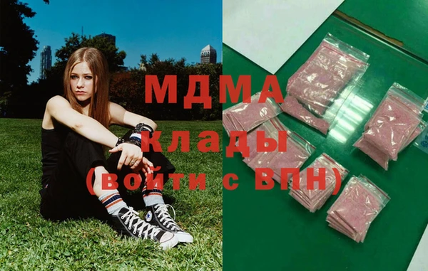 прущие грибы Михайлов