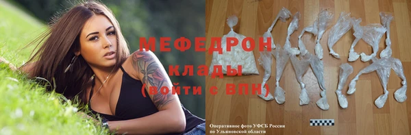 прущие грибы Михайлов