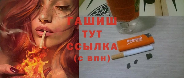 прущие грибы Михайлов