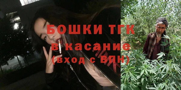 прущие грибы Михайлов
