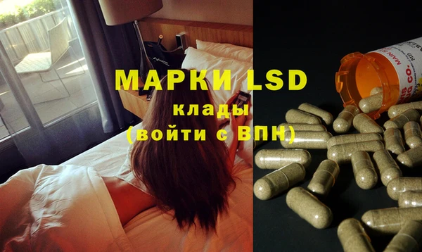 прущие грибы Михайлов