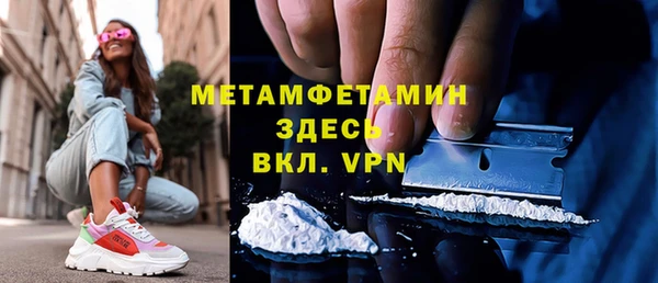 прущие грибы Михайлов