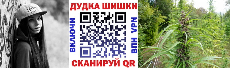 Бошки марихуана OG Kush  ОМГ ОМГ маркетплейс  Калининград 